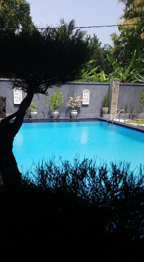 Mias Jungle House Otel Lovina Dış mekan fotoğraf