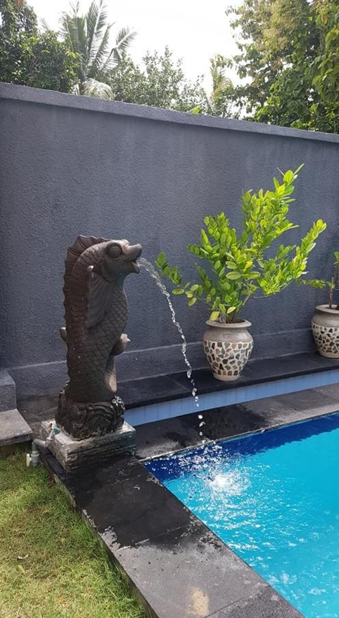 Mias Jungle House Otel Lovina Dış mekan fotoğraf