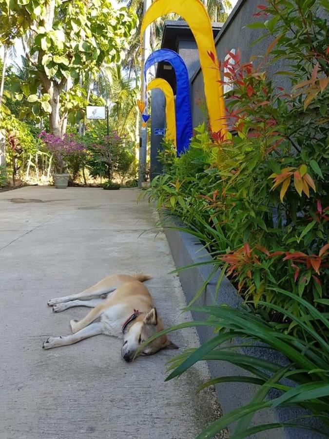 Mias Jungle House Otel Lovina Dış mekan fotoğraf