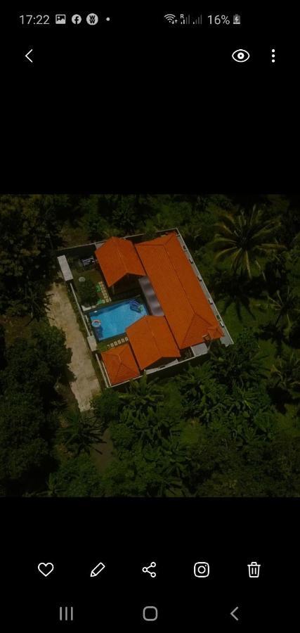 Mias Jungle House Otel Lovina Dış mekan fotoğraf