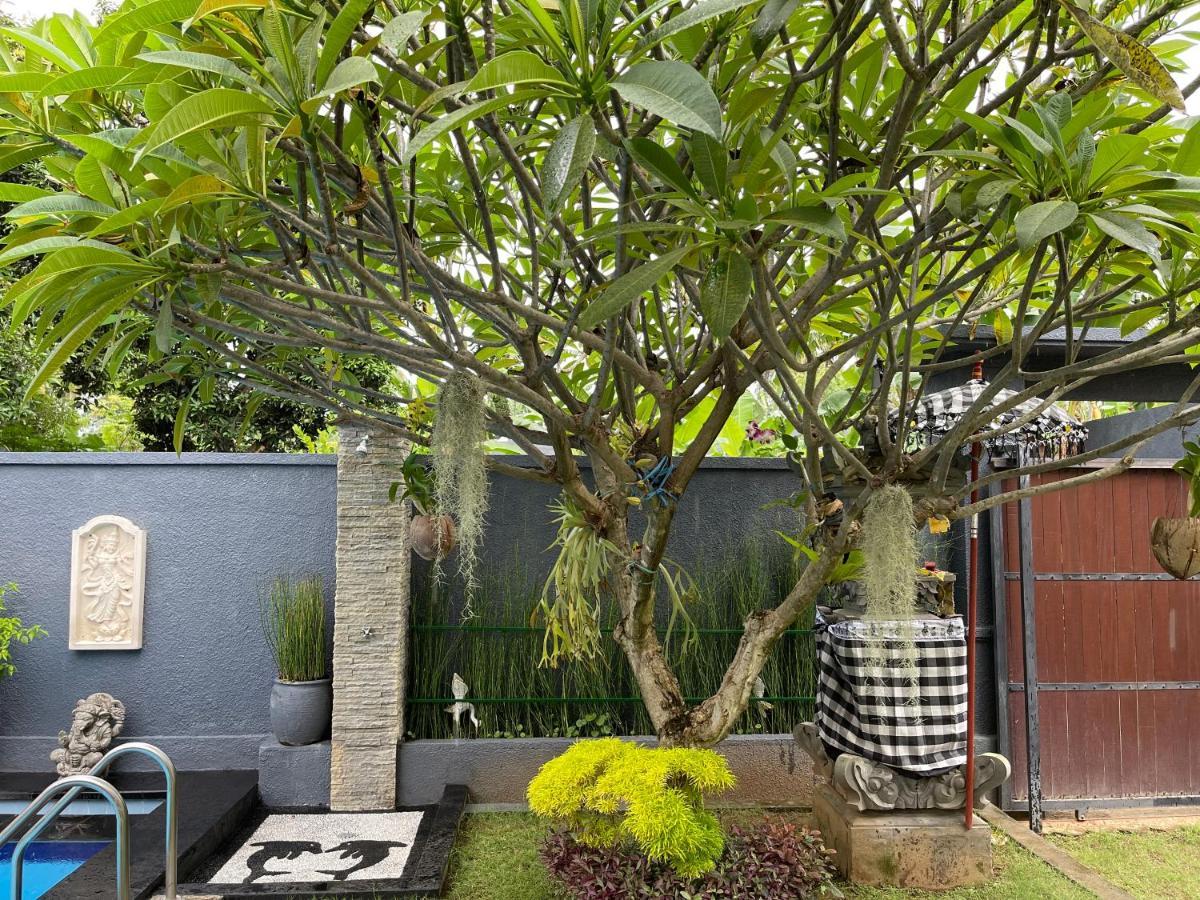 Mias Jungle House Otel Lovina Dış mekan fotoğraf