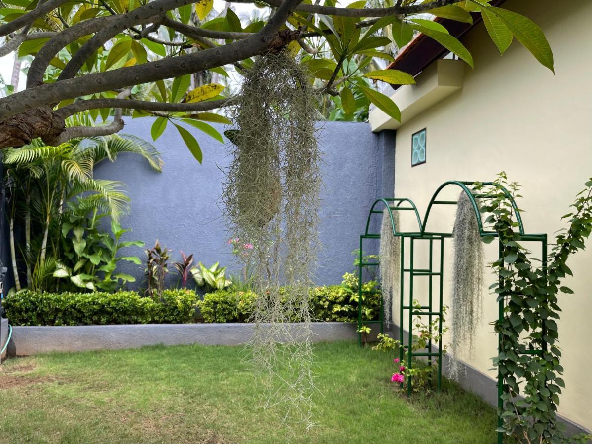 Mias Jungle House Otel Lovina Dış mekan fotoğraf